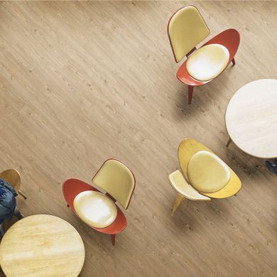 Ламінат Faus Eco AZORES CHESTNUT, 8 мм