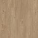 Ламінат Faus Eco AZORES CHESTNUT, 8 мм