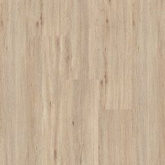 Ламінат Faus Tempo CHAMPAGNE OAK, 8 мм