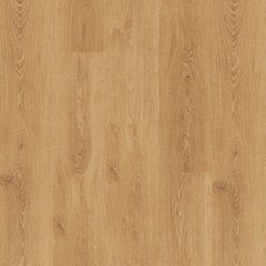 Ламінат Faus Tempo SELECCION OAK, 8 мм
